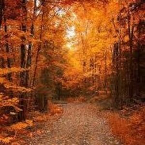 Meet your Posher, Sher